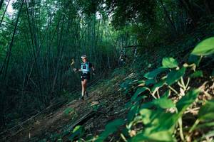 BIB: 
                            <button type="button" onclick="openModal(28124476)" class="btn btn-primary btn-sm float-right btn-popup" data-toggle="modal" data-target=".modal-high-quality">
                        <i class="fas fa-shopping-cart"></i> Add to Cart
                    </button>
                                            <button type="button" onclick="isThisMe(28124476, true)" class="btn btn-success btn-sm float-right btn-popup btn-isme hidden" data-toggle="tooltip" data-placement="bottom" title="นี่คือรูปของคุณใช่ไหม คลิกที่นี่เพื่อเอาเข้าอัลบั้ม">
                        <i class="fas fa-plus"></i> Add to album
                    </button>
                    <button type="button" onclick="isThisMe(28124476, false)" class="btn btn-warning btn-sm float-right btn-popup btn-isnotme hidden">
                        <i class="fas fa-ban"></i> Remove from album
                    </button>